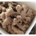 Use A Bag Of Ordinary Airdried Ginger